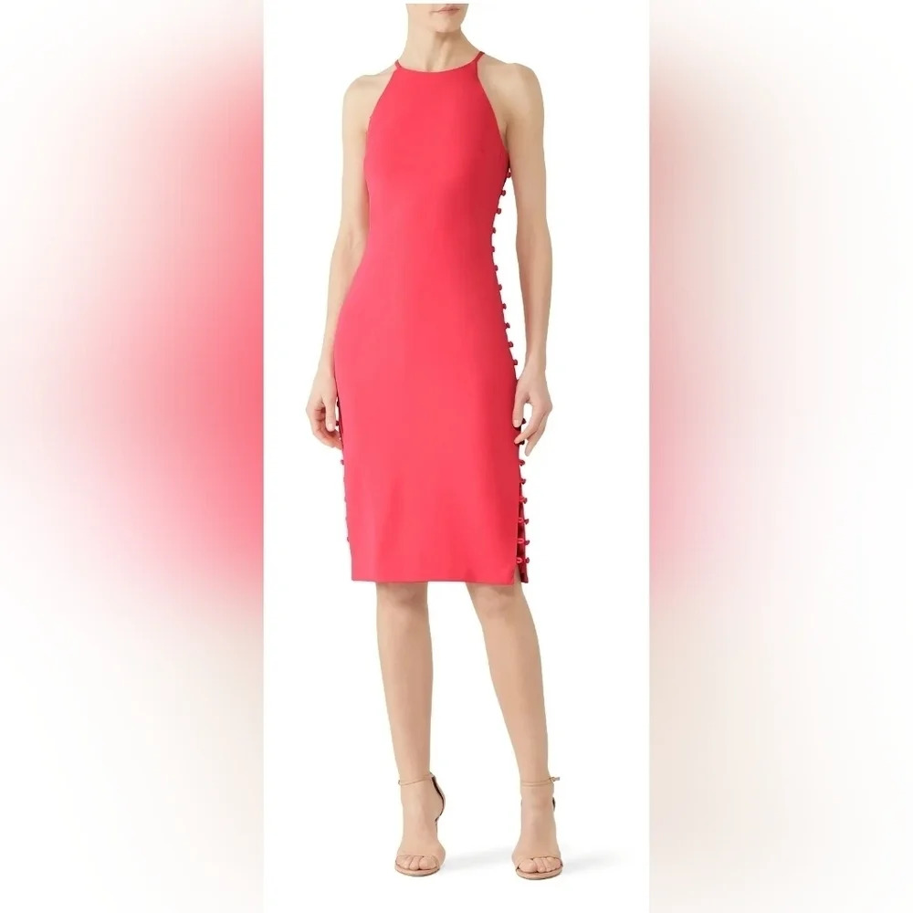 Badgley Mischka Watermelon Side Button Sheath